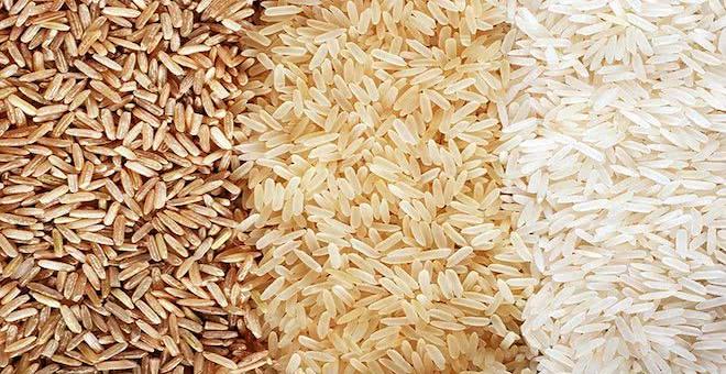 rice2_selected